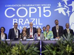 COP15 garante proteção a espécies migratórias, incluindo do MS