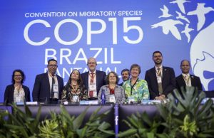 COP15 garante proteção a espécies migratórias, incluindo do MS