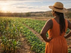 Garantia-Safra inicia pagamentos e atende agricultores afetados por perdas climáticas