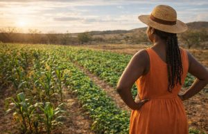 Garantia-Safra inicia pagamentos e atende agricultores afetados por perdas climáticas