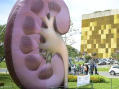 Dia Mundial do Rim: doenças renais são silenciosas e exigem atenção