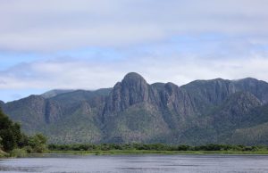 Para preservar o Pantanal, PSA Brigadas destinou mais de R$ 6,1 milhões