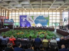 MS sedia encontro global sobre desenvolvimento e conservação ambiental antes da COP15