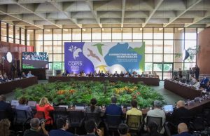 MS sedia encontro global sobre desenvolvimento e conservação ambiental antes da COP15