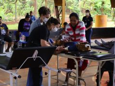 Dourados entra em emergência por chikungunya e população recebe alerta da Defesa Civil