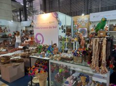 Fundação de Cultura leva artesanato de MS para o Feira em Brasília