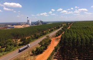 Concessionária apresenta início e plano dos 100 dias da Rota da Celulose