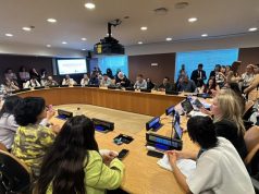 MS apresenta programa Protege na ONU em debate sobre proteção às mulheres