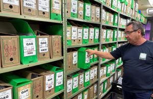 Detran-MS destina 49 toneladas de papel e transforma descarte em solidariedade