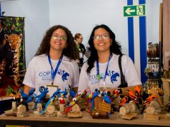 Fundação de Cultura leva artesanato de Mato Grosso do Sul para a Cop15
