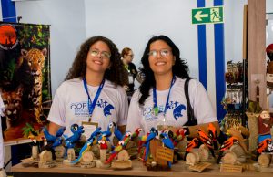 Fundação de Cultura leva artesanato de Mato Grosso do Sul para a Cop15