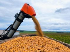Colheita da soja em Mato Grosso do Sul alcança 82% da área e plantio do milho chega a 84,6%