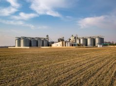 Comercialização de soja e milho apresenta ritmo cauteloso em MS