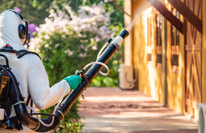 Após estruturar frota, MS equipa 79 municípios com bombas costais para combater o Aedes