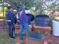 MS reforça combate à chikungunya com leitos e vacina