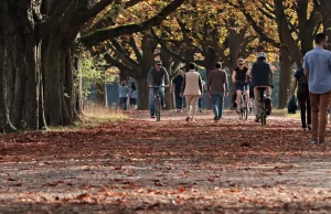 Outono começa com calor no Sul e em Mato Grosso do Sul