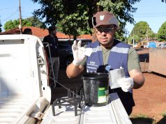Combate à chikungunya em Dourados usa armadilhas e tem mutirão de limpeza em bairros críticos