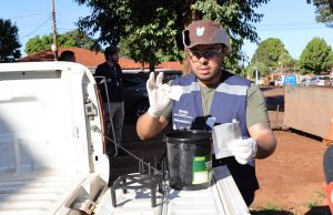 Combate à chikungunya em Dourados usa armadilhas e tem mutirão de limpeza em bairros críticos