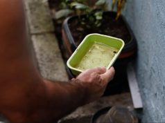 Estado articula para trazer vacina da chikungunya para MS