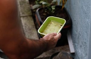 Estado articula para trazer vacina da chikungunya para MS