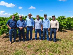 Citros Tour apresenta ações para citricultura em MS