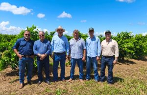 Citros Tour apresenta ações para citricultura em MS