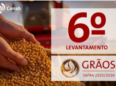 Conab: safra de grãos 2025/26 tem estimativa recorde de 353,4 milhões de toneladas
