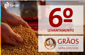 Conab: safra de grãos 2025/26 tem estimativa recorde de 353,4 milhões de toneladas