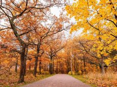 Outono começa com previsão de chuvas abaixo da média e altas temperaturas