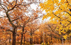 Outono começa com previsão de chuvas abaixo da média e altas temperaturas