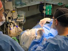 HRMS realiza cerca de 300 atendimentos em Mutirão da Mulher