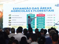 Ribas impulsiona celulose e diversifica com citrus e amendoim