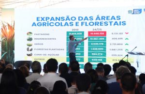 Ribas impulsiona celulose e diversifica com citrus e amendoim