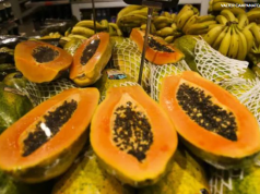 Preços das frutas mais vendidas têm queda nos mercados atacadistas, mostra Conab