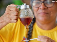 Produção de mel impulsiona desenvolvimento regional e agricultura familiar