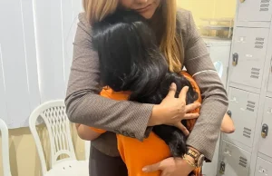 Entenda como nova lei põe fim a atenuantes para estupro de vulnerável