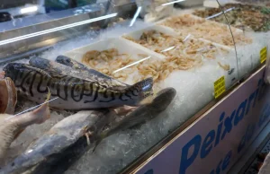 Vigilância Sanitária orienta sobre compra de pescado na Semana Santa