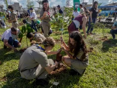COP15 planta 250 mudas de espécies nativas do Cerrado em Campo Grande