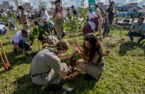 COP15 planta 250 mudas de espécies nativas do Cerrado em Campo Grande