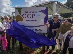 COP15 em Campo Grande deixa legado de conscientização ambiental