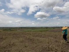 Fevereiro teve registro de seca mais branda em quatro regiões do país