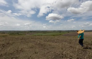 Fevereiro teve registro de seca mais branda em quatro regiões do país