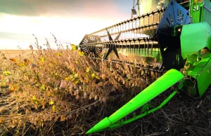 Produção de soja do Paraguai pode atingir 11,8 milhões de toneladas