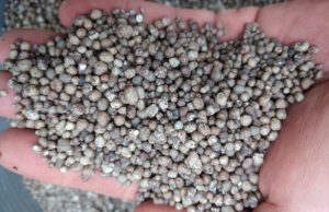 Importação de fertilizantes recua mais de 57% em MS no início de 2026