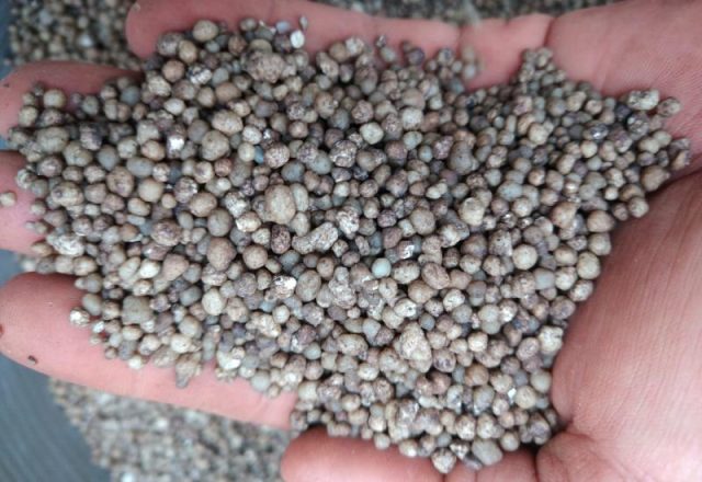 00007240-PHOTO-2020-09-29-19-51-19_0