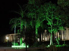 Saúde mental provoca 1 afastamento a cada 54 minutos em MS