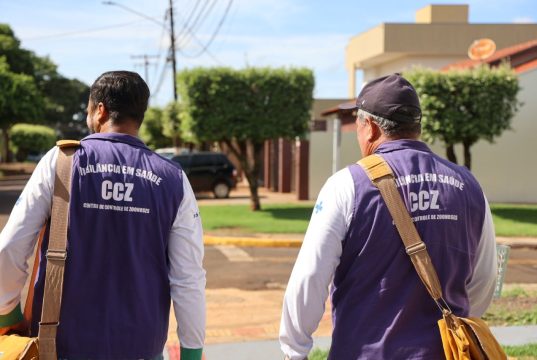 Prefeitura faz contratação temporária de agentes de endemias para ações contra a Chikungunya