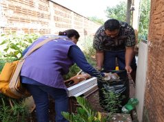 Mutirão contra Chikungunya avança e CCZ apela por apoio da população