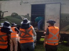 Estado reforça articulação com municípios contra chikungunya