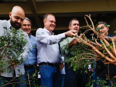 Riedel participa de retirada simbólica de murtas na Expogrande